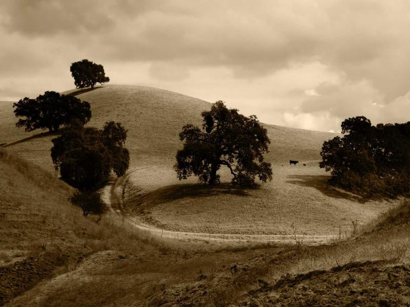 sudoku skill level screenshot 3